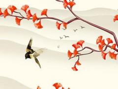 屬兔男最佳婚配,1987年屬兔男最佳婚配