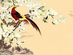 87年屬兔男婚姻坎坷,87年屬兔男婚姻坎坷命運