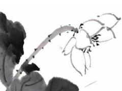 2023年屬猴和屬龍的感情,2o21猴和龍運氣