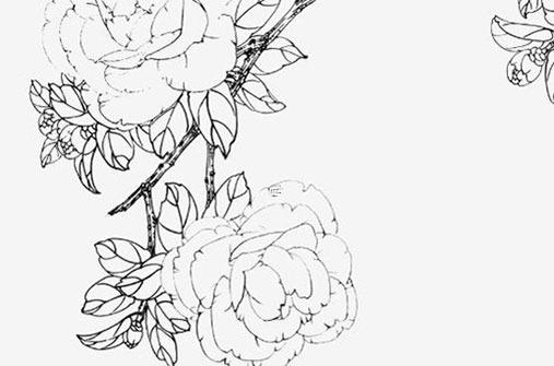 1973年出生屬啥多大2024年，1973年屬牛人今年幾歲了