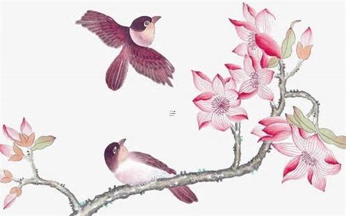 屬龍的過了45歲就順了，屬龍的今年45歲