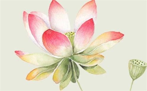 八十幾歲屬兔的 屬兔的老人今年八十幾歲 八十幾歲屬兔的 屬兔的老人今年八十幾歲