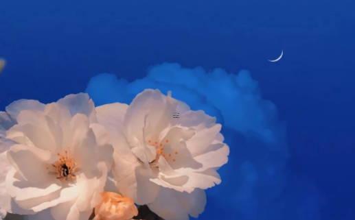 八字土多算命命格特征如何 八字土多就是土命嗎 八字土多算命命格特征如何 八字土多就是土命嗎