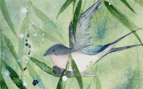 八字里水是什么意思 八字中什么代表水