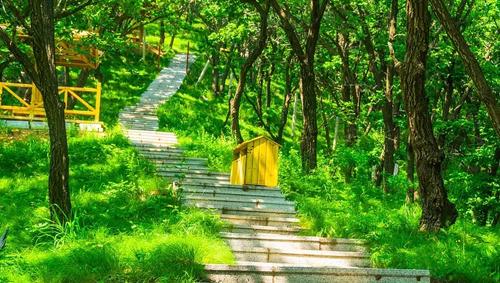 夢見拿筆寫字是什么意思 夢見拿了一支筆