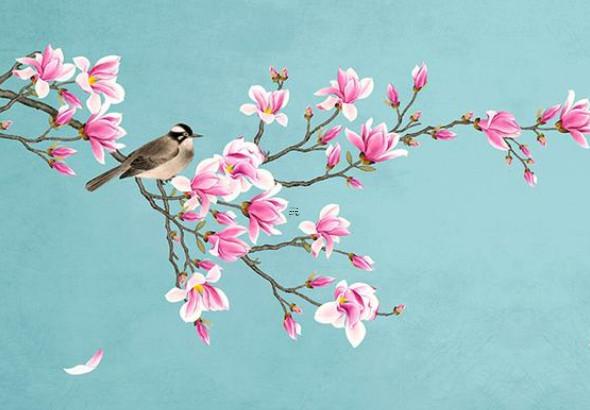 八字看董璇會不會離婚 董璇不是82年怎么變79