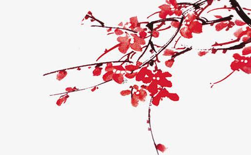 什么龜最有靈性最大還便宜 什么龜最有靈性而且最好養(yǎng) 什么龜最有靈性最大還便宜 什么龜最有靈性而且最好養(yǎng)