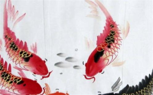 八字喜水開什么車 八字喜水適合做什么工作