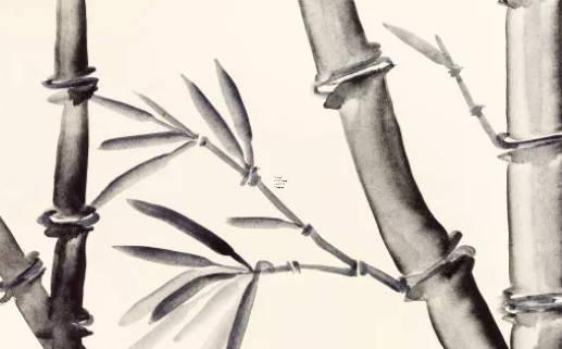 屬龍的人2024年10月份運勢如何,屬龍2024年10月運勢及運程 屬龍的人2024年10月份運勢如何,屬龍2024年10月運勢及運程