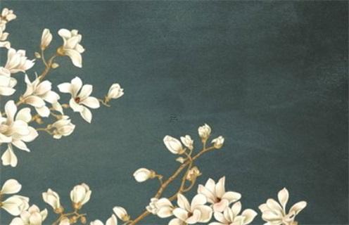 八字土多適合什么顏色 八字土多的人適合什么顏色 八字土多適合什么顏色 八字土多的人適合什么顏色