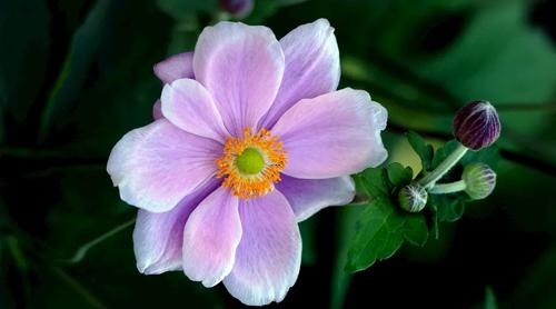 夢見左腿短了 夢見左腿斷