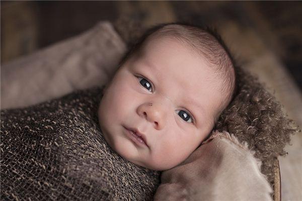 夢見往高處爬是什么意思 夢見往高處爬是什么意思