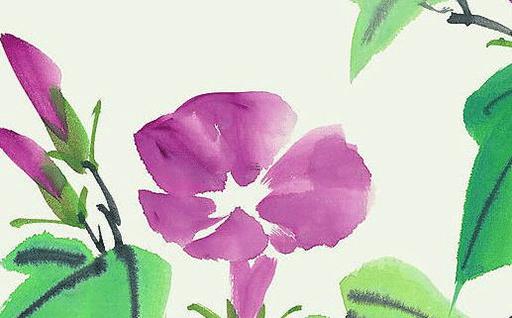 屬虎的今年是60幾了，屬虎的人60歲是哪一年