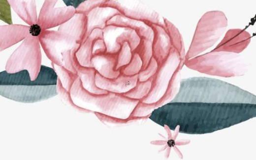 十二生肖中羊和什么比較配 生肖羊和什么生肖最合得來 十二生肖中羊和什么比較配 生肖羊和什么生肖最合得來