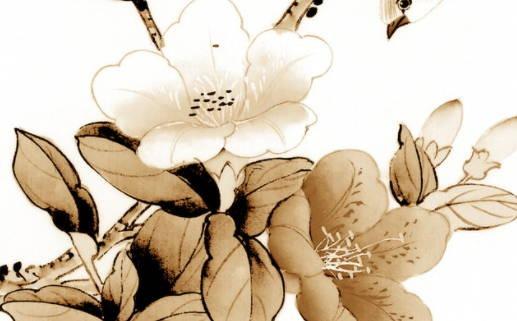 屬豬生日尾數(shù)最好，生肖豬生日