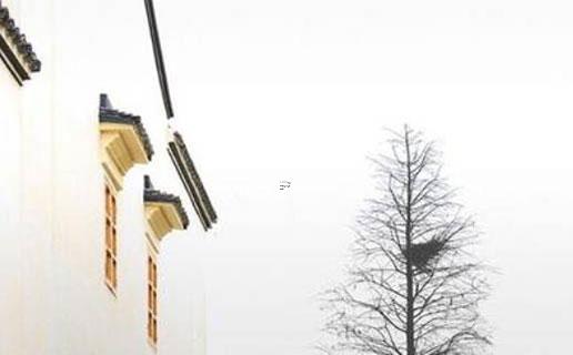 宋姓起名方法 宋姓起什么名字好聽