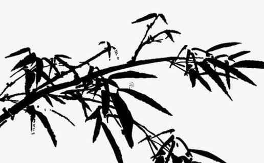 豬年出生的女寶寶起什么名字能高分 豬年出生的女寶寶起什么名字能高雅一點 豬年出生的女寶寶起什么名字能高分 豬年出生的女寶寶起什么名字能高雅一點