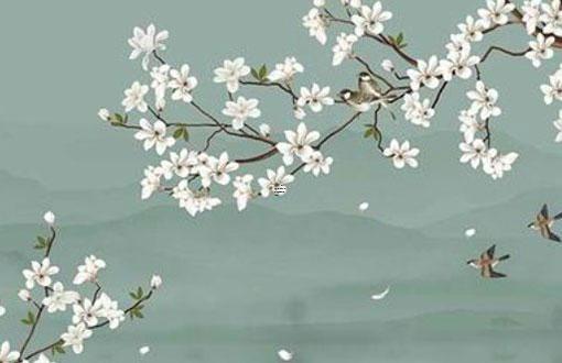 測試自己會不會結婚的軟件 測試自己這輩子會不會結婚 測試自己會不會結婚的軟件 測試自己這輩子會不會結婚