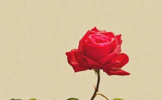 天秤座白羊座配對 為什么白羊是天秤的劫 天秤座白羊座配對 為什么白羊是天秤的劫