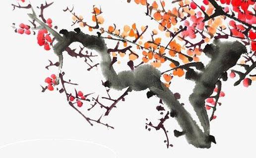 如何網(wǎng)八字環(huán)上綁魚鉤 八字環(huán)綁魚鉤方法 如何網(wǎng)八字環(huán)上綁魚鉤 八字環(huán)綁魚鉤方法