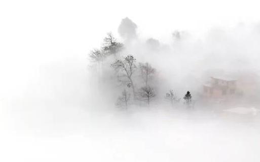 屬兔戴什么運(yùn)氣最旺 屬兔今年佩戴什么最好 屬兔戴什么運(yùn)氣最旺 屬兔今年佩戴什么最好