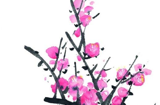 打蟲藥有幾種名字圖片 打蟲藥都有什么名字