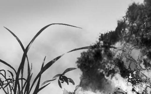 受婆家喜歡的八字女 婆家喜歡怎么樣的兒媳婦 受婆家喜歡的八字女 婆家喜歡怎么樣的兒媳婦