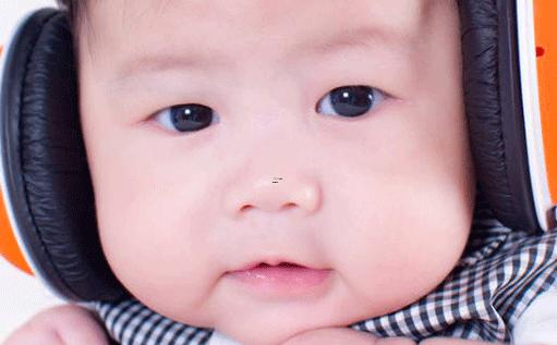 好聽(tīng)的插花的名字 好聽(tīng)的插花的名字