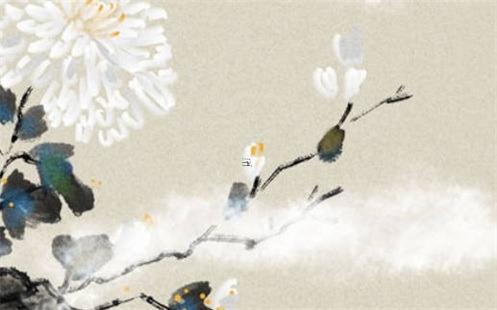 54歲屬猴的晚年怎么樣,54歲屬猴是幾幾年生人 54歲屬猴的晚年怎么樣,54歲屬猴是幾幾年生人