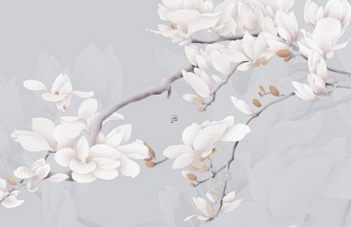 屬猴的女人戴什么首飾比較好，屬猴女人戴什么招財最靈驗