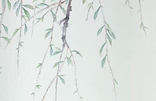 屬蛇室內(nèi)擺什么綠植好,屬蛇室內(nèi)擺什么花好 屬蛇室內(nèi)擺什么綠植好,屬蛇室內(nèi)擺什么花好