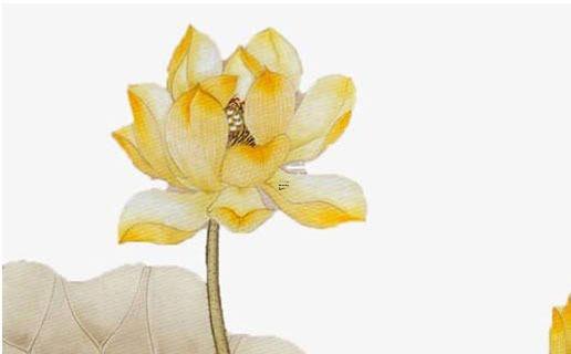 算算這個孩子的命運 算命怎么算子女 算算這個孩子的命運 算命怎么算子女