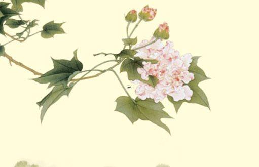 屬豬的24年結(jié)婚好不好 屬豬的24年結(jié)婚好不好呢 屬豬的24年結(jié)婚好不好 屬豬的24年結(jié)婚好不好呢