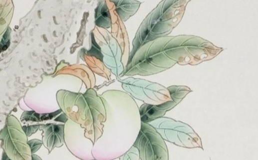 屬蛇的性格和脾氣及愛情 屬蛇人的性格和脾氣什么樣