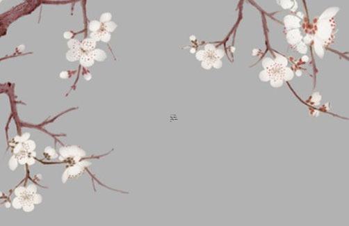 屬虎人幾月出生命運最好 屬虎人幾月出生命運最好呢