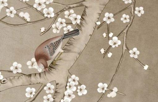 屬龍的今年多少周歲，屬龍的今年多少歲數啊