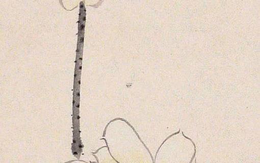 八字怎么合婚算命婚姻 怎樣進行八字合婚 八字怎么合婚算命婚姻 怎樣進行八字合婚