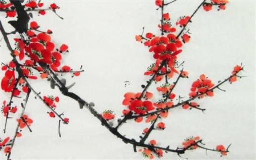 屬虎的人2024年7月份運勢如何，屬虎2024年7月運勢及運程