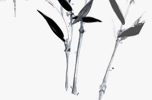 屬豬的是木命人嗎,屬豬屬木 屬豬的是木命人嗎,屬豬屬木