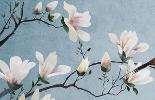 2024年農歷2月出生的龍寶寶 2024年農歷2月出生的龍寶寶五行屬什么 2024年農歷2月出生的龍寶寶 2024年農歷2月出生的龍寶寶五行屬什么