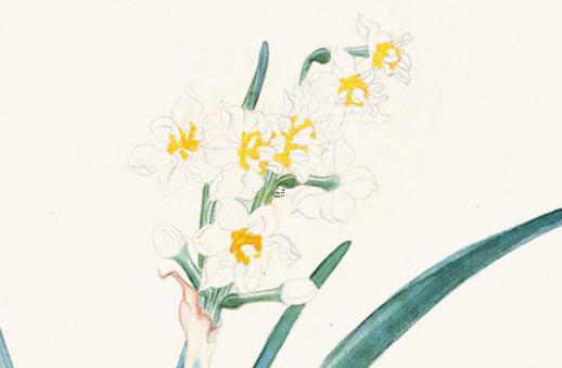 寶寶知道怎么查生辰八字 怎么看寶寶生辰八字 寶寶知道怎么查生辰八字 怎么看寶寶生辰八字