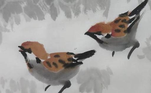 好聽的魚的名字大全 好聽的魚的名字大全