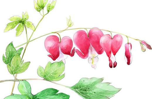 八字先生說懶鬼命 懶鬼什么意思 八字先生說懶鬼命 懶鬼什么意思