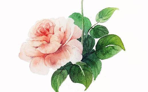 好聽的萌名字 好聽的萌名字