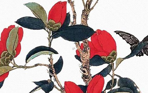 八字環(huán)紅狼鋁合金 紅狼游戲網(wǎng)頁版 八字環(huán)紅狼鋁合金 紅狼游戲網(wǎng)頁版