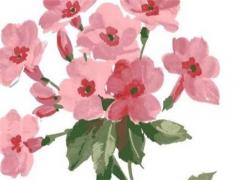 屬雞男2024年運勢如何,屬雞人在2024運勢男性怎樣