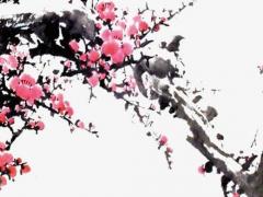 八字合也離婚的有么 八字相合但離婚的例子