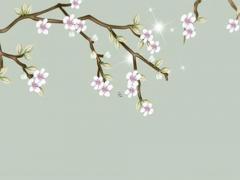 屬雞2024年犯太歲嗎 屬雞2024年犯太歲嗎女