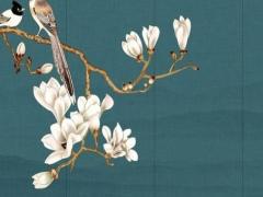 屬龍的2023年幾歲了,屬龍的2023多大