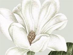 2024年雙春年結婚好嗎 2024年是單春還是雙春